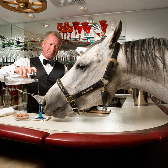 Horse at bar with martini and bartender